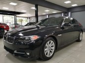 Cần bán xe BMW 520i 2014, màu đen