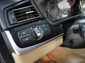 Cần bán xe BMW 520i 2014, màu đen