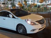 Cần bán lại xe Hyundai Sonata năm 2013, nhập khẩu còn mới