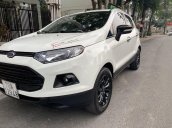 Bán Ford EcoSport năm sản xuất 2017, nhập khẩu nguyên chiếc