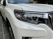 Cần bán xe Toyota Land Cruiser Prado 2018, nhập khẩu