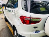 Cần bán gấp Ford EcoSport đời 2015, màu trắng nhập khẩu nguyên chiếc giá 415 triệu đồng