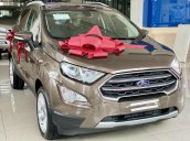 Ford Ecosport giảm giá tiền mặt, tặng phụ kiện chính hãng lên đến 50tr