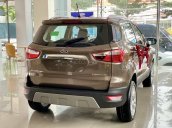 Ford Ecosport giảm giá tiền mặt, tặng phụ kiện chính hãng lên đến 50tr