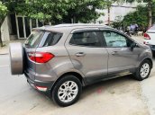 Cần bán gấp Ford EcoSport đăng ký lần đầu 2015, màu nâu chỉnh chủ giá 445 triệu đồng