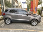 Cần bán Ford EcoSport sản xuất 2015, màu nâu còn mới