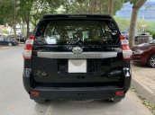 Land Cruiser Prado TXL cuối 2016, tên công ty, biển HN