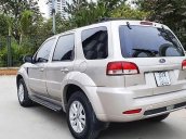 Cần bán lại xe Ford Escape sản xuất năm 2010, màu hồng còn mới, giá chỉ 339 triệu