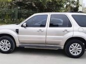 Cần bán lại xe Ford Escape sản xuất năm 2010, màu hồng còn mới, giá chỉ 339 triệu