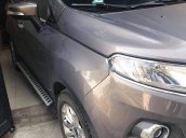 Bán xe Ford EcoSport sản xuất năm 2015, nhập khẩu nguyên chiếc còn mới, giá chỉ 449 triệu