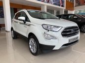 Cần bán xe Ford EcoSport Titanium sản xuất 2020, nhập khẩu