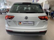 Tiguan Luxury S 2021 màu trắng có giao ngay cho khách đi tết - nâng cấp thêm HUD - Loa Dynaudio