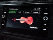 Tiguan Luxury S 2021 màu trắng có giao ngay cho khách đi tết - nâng cấp thêm HUD - Loa Dynaudio