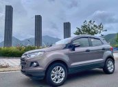 Cần bán xe Ford EcoSport đời 2016, màu xám, nhập khẩu