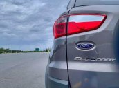 Cần bán xe Ford EcoSport đời 2016, màu xám, nhập khẩu