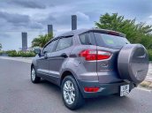 Cần bán xe Ford EcoSport đời 2016, màu xám, nhập khẩu