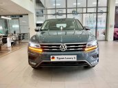 Volkswagen Tiguan Luxury 2021 - màu cực độc và hiếm - xanh Petro