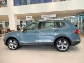 Volkswagen Tiguan Luxury 2021 - màu cực độc và hiếm - xanh Petro