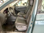Volkswagen Tiguan Luxury 2021 - màu cực độc và hiếm - xanh Petro