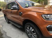 Cần bán xe Ford Ganger đời 2017