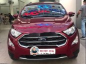 Cần bán xe Ford EcoSport Titanium sản xuất năm 2020