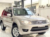 Cần bán Ford Escape năm 2009, màu bạc 