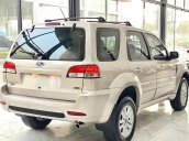 Cần bán Ford Escape năm 2009, màu bạc 