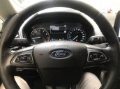Bán Ford EcoSport năm sản xuất 2018, giá ưu đãi