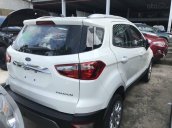 Sở hữu ngay new Ford Ecosport 2021 với nhiều ưu đãi