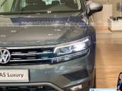 Tiguan Luxury S 2021 màu xám có xe giao ngay - tặng quà lớn đầu năm