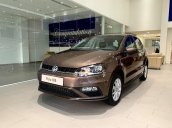 VW Polo nhập khẩu nguyên chiếc màu cực độc, giá ưu đãi tháng 2/2021