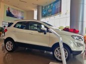 Bán xe Ford EcoSport Titanium năm sản xuất 2021 giá cạnh tranh