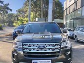 Cần bán lại xe Ford Explorer sản xuất năm 2019, nhập khẩu còn mới