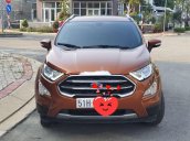 Cần bán Ford EcoSport đời 2019, màu nâu còn mới, giá 625tr