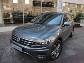 Tiguan Luxury S 2021 màu xám ghi mới về chiếc duy nhất - Phiên bản cao cấp nhất