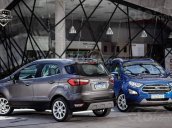 Ford EcoSport model 2021 nấng cấp hiện đại - Màu xanh giá cực ưu đãi, xe đủ màu có sẵn giao ngay