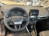 Ford EcoSport model 2021 nấng cấp hiện đại - Màu xanh giá cực ưu đãi, xe đủ màu có sẵn giao ngay