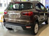 Cần bán Ford EcoSport năm sản xuất 2021, màu nâu, giá 600tr