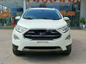 Cần bán lại xe Ford EcoSport năm sản xuất 2018, màu trắng