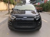 Bán Ford EcoSport đời 2017, màu đen