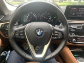 Bán BMW 5 Series năm 2019 còn mới