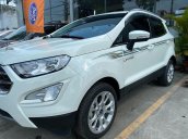 Cần bán gấp Ford EcoSport năm 2019