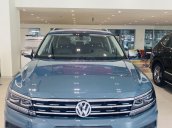 Tiguan Elegance 2021 màu xanh Petro số lượng hiếm - Phiên bản mới khuyến mãi 100 triệu