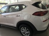 Bán ô tô xe Hyundai Tucson mới 100%, xe đủ màu, giao ngay tận nơi