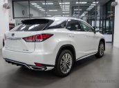 [Lexus Thăng Long] bán RX 300 SE 2021 Special Edition - body kit included, trợ giá cực tốt, xe giao toàn quốc