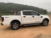 Cần bán xe Ford Ranger Wildtrak 3.2L 4x4 AT - 2016