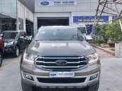 Bán ô tô Ford Everest 2019, nhập khẩu, ghi vàng