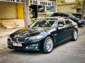 Bán BMW 5 Series 520i năm sản xuất 2017, xe nhập