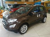 Cần bán Ford EcoSport năm sản xuất 2021 đủ màu xe, đủ phiên bản giao xe ngay