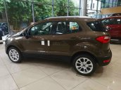 Cần bán Ford EcoSport năm sản xuất 2021 đủ màu xe, đủ phiên bản giao xe ngay